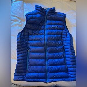 Patagonia Women's Vibrant Blue Outerwear